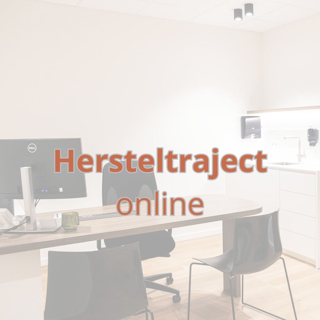 ONLINE: Hersteltraject