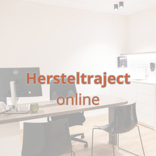 ONLINE: Hersteltraject